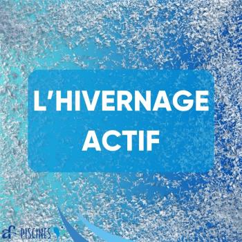 L'hivernage actif de votre piscine : Préparez votre bassin pour l'hiver 